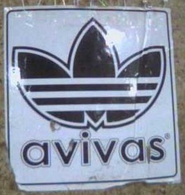 avivas